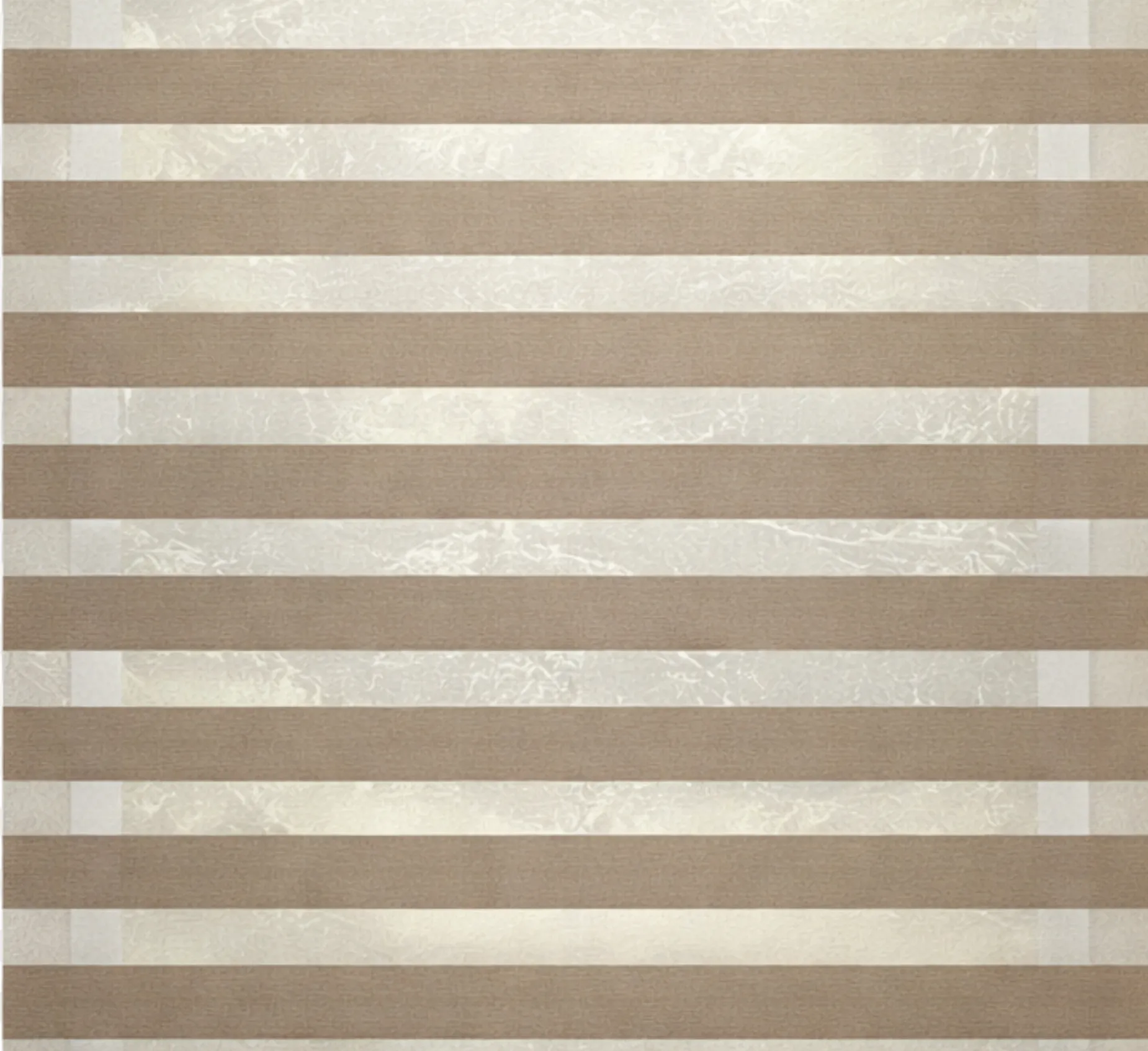Zebra Blind 1